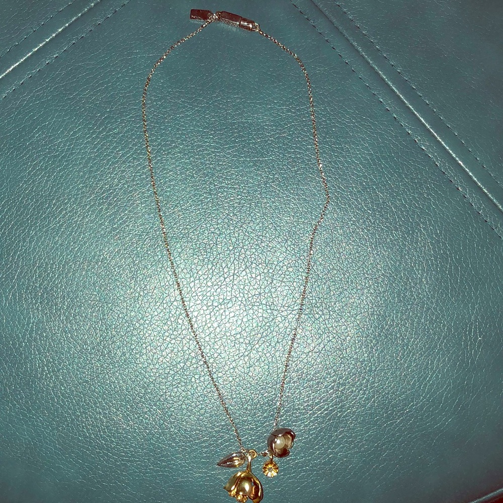COACH Tearose Charm Necklace